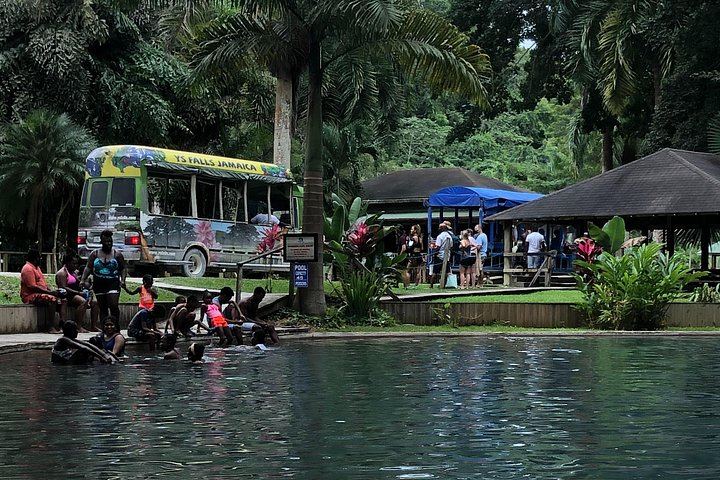 Cashless YS Falls Day Trip from Montego Bay via Middle Quarters Pepper Shrimp Route (6/12)