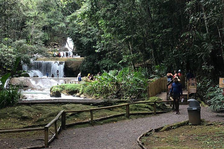 Cashless YS Falls Day Trip from Montego Bay via Middle Quarters Pepper Shrimp Route (8/12)