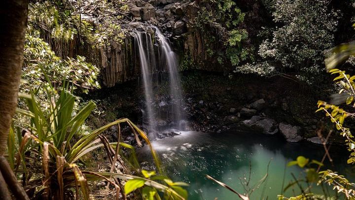 Small Group Hana Highway Waterfall Hike with Lunch from Kahului Park and Ride (4/11)