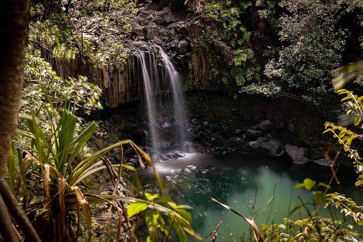 Small Group Hana Highway Waterfall Hike with Lunch from Kahului Park and Ride (4/11)