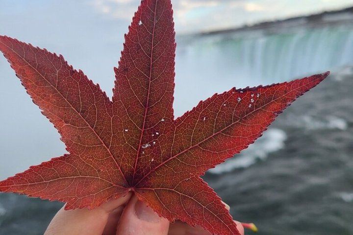 Fall for Niagara Sightseeing Day Tour from Toronto with Parkway Photo Stops (5/11)