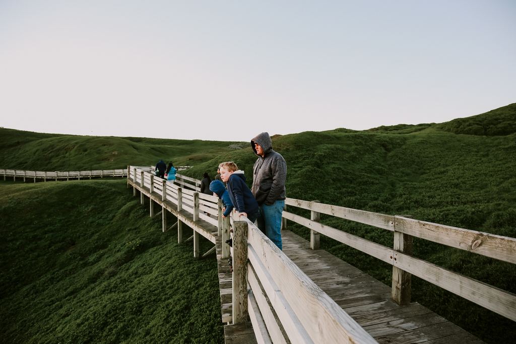 A man and two boys leaning on the railing of a wooden boardwalk over green hills