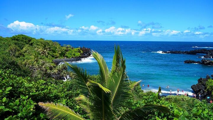 Road to Hana in a Mercedes Sprinter: Waterfalls, Wai'anapanapa Black Sand Beach, Lunch (2/12)