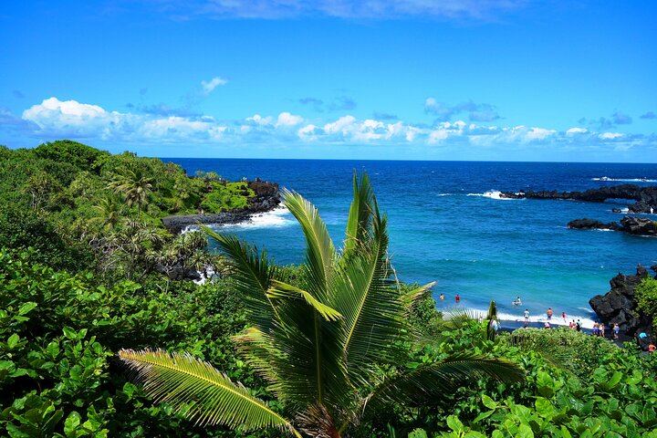 Road to Hana in a Mercedes Sprinter: Waterfalls, Wai'anapanapa Black Sand Beach, Lunch (2/12)