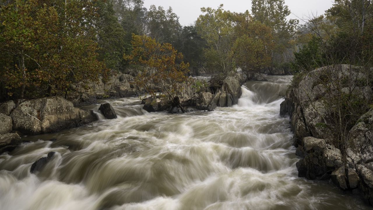 A fast, muddy river running white over a rocky ledge between autumn trees under an overcast sky