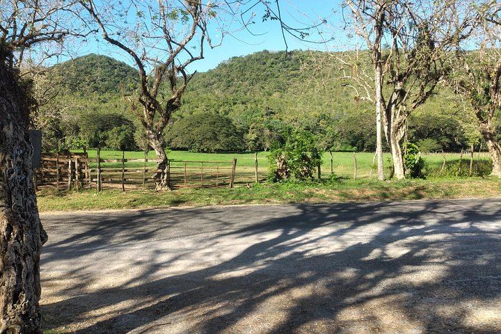 Private Appleton Estate Rum Tour and YS Falls Zipline Day from Montego Bay, Seven Hours (11/12)