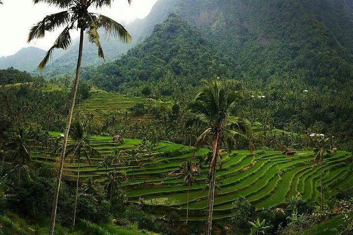 Edy Smile Tour Sekumpul and Fiji Trek with Motorbike Transfer, Slide and Lunch (6/10)