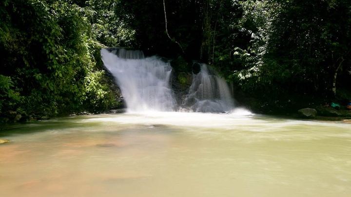 Los Campesinos Reserve Waterfalls and 127-Meter Hanging Bridge near Manuel Antonio (3/12)