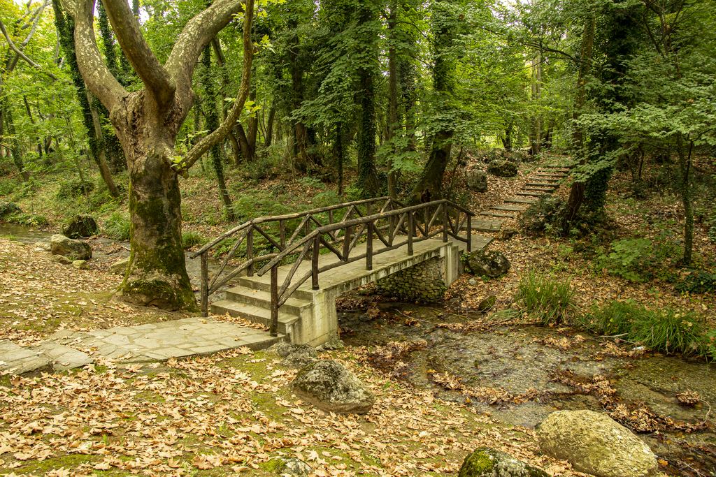 A small wooden footbridge and stone steps over a stream in a forest
