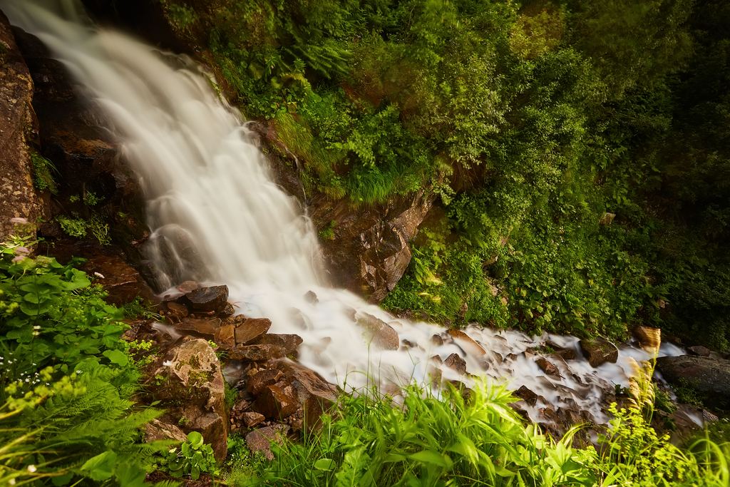A waterfall running over boulders into a stream in a green forest