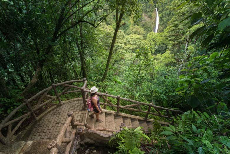 Fortuna River Waterfall Reserve Hike from La Fortuna with Hotel Pickup and Fruit Snack (5/7)