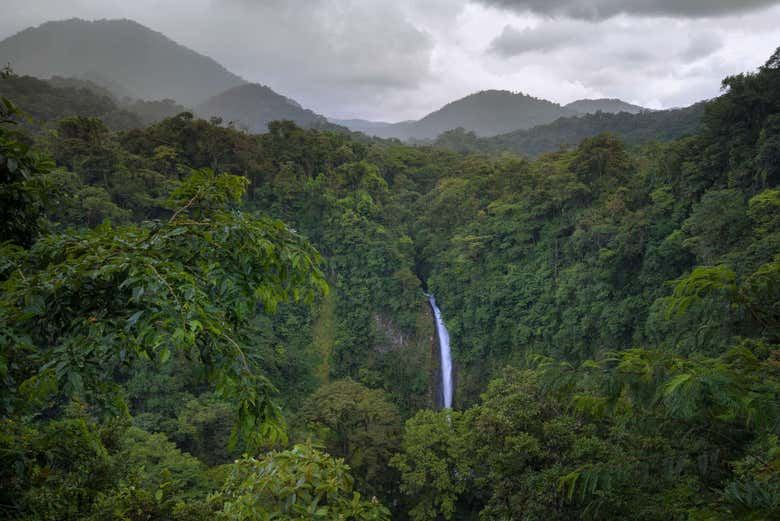Fortuna River Waterfall Reserve Hike from La Fortuna with Hotel Pickup and Fruit Snack (7/7)