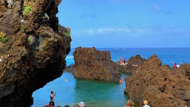 Small-Group West Madeira Tour: Porto Moniz Pools, Fanal Forest and Bridal Veil (2/12)
