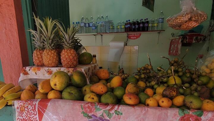 Guided Dunn's River Falls Tour with Lunch, Skip-the-Line Entry and Craft Shopping (4/10)