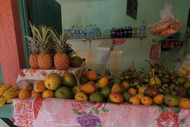 Guided Dunn's River Falls Tour with Lunch, Skip-the-Line Entry and Craft Shopping (4/10)