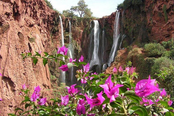 Ouzoud Waterfalls Shared Day Tour from Marrakech, Groups up to 17 with Boat Ride (9/11)