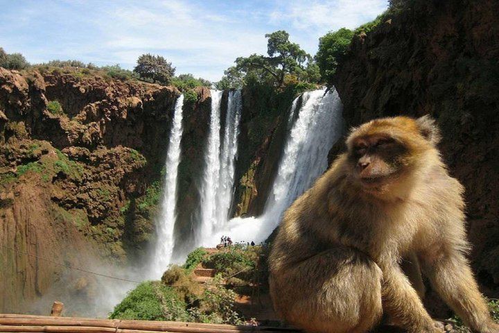 Ouzoud Waterfalls Shared Day Tour from Marrakech, Groups up to 17 with Boat Ride (7/11)