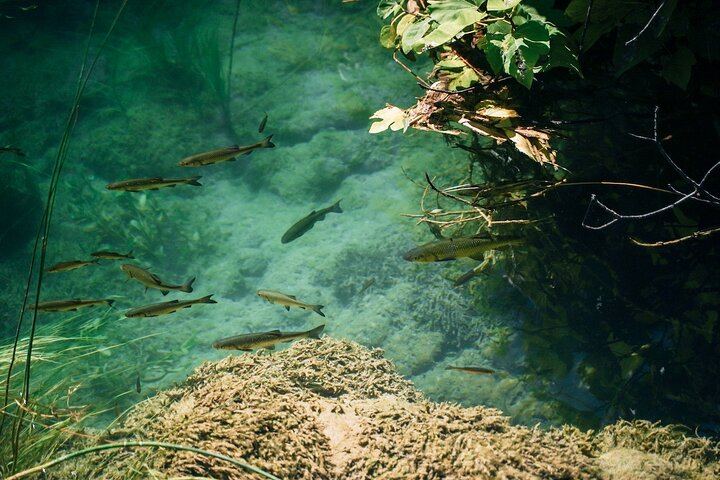 Krka Waterfalls Day Trip from Split with Sladic Winery Tasting (5/12)