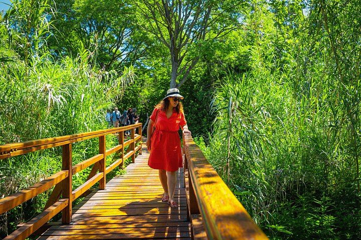 Krka Waterfalls Day Tour from Split with Boat Cruise and Optional Wine Tasting (8/11)