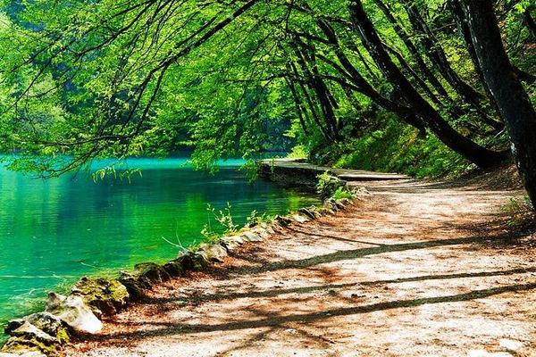 Plitvice Lakes Guided Day Trip from Split by Air-Conditioned Vehicle