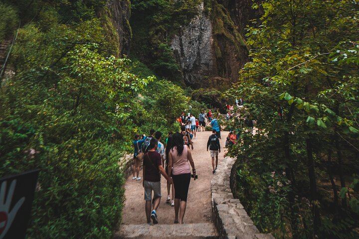 Plitvice Lakes Guided Day Trip from Split by Air-Conditioned Vehicle (9/12)