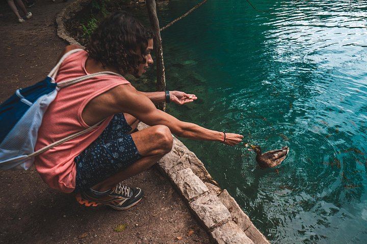 Private Plitvice Lakes Day Tour from Split with Coffee Stop and Boat Trip (11/12)