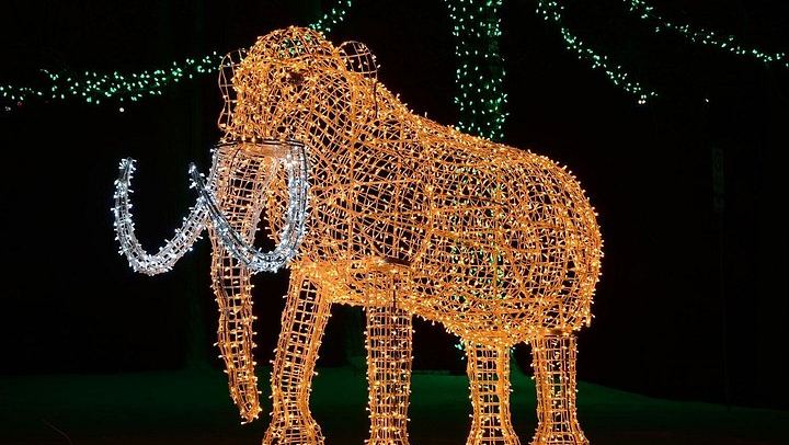 Toronto Winter Festival of Lights Bus Tour to Niagara Falls with Floral Clock and Chapel (4/12)