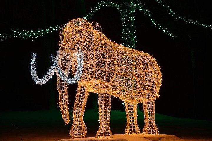 Toronto Winter Festival of Lights Bus Tour to Niagara Falls with Floral Clock and Chapel (4/12)