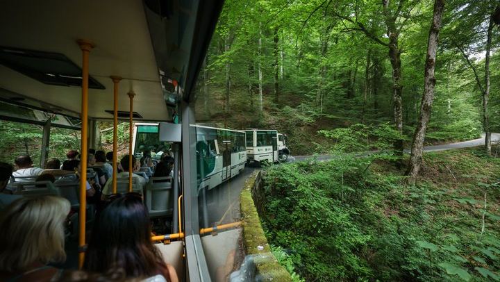 Plitvice Lakes Guided Day Tour from Zadar with Boat, Train and Old Town Walk (3/12)