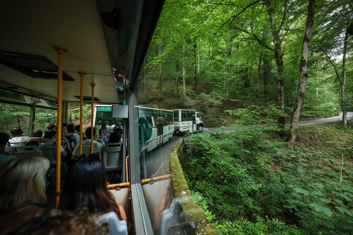 Plitvice Lakes Guided Day Tour from Zadar with Boat, Train and Old Town Walk (3/12)