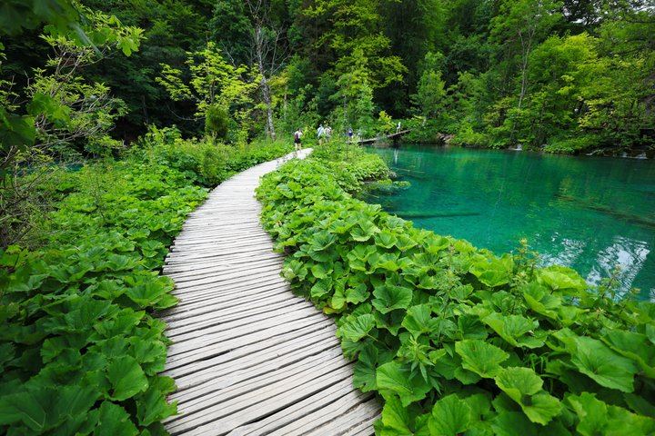 Plitvice Lakes Guided Day Tour from Zadar with Boat, Train and Old Town Walk (8/12)