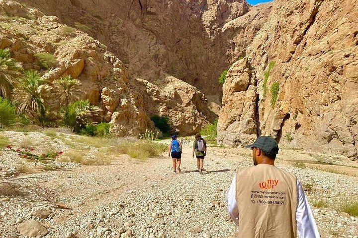Wadi Shab Day Trip by Car from Muscat: Coastal Drive, Fishing Villages and Sinkhole (1/6)