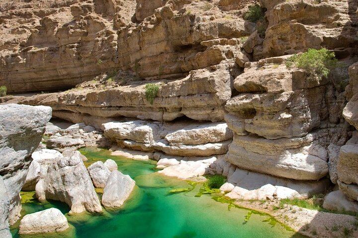 Wadi Shab Day Trip by Car from Muscat: Coastal Drive, Fishing Villages and Sinkhole (2/6)