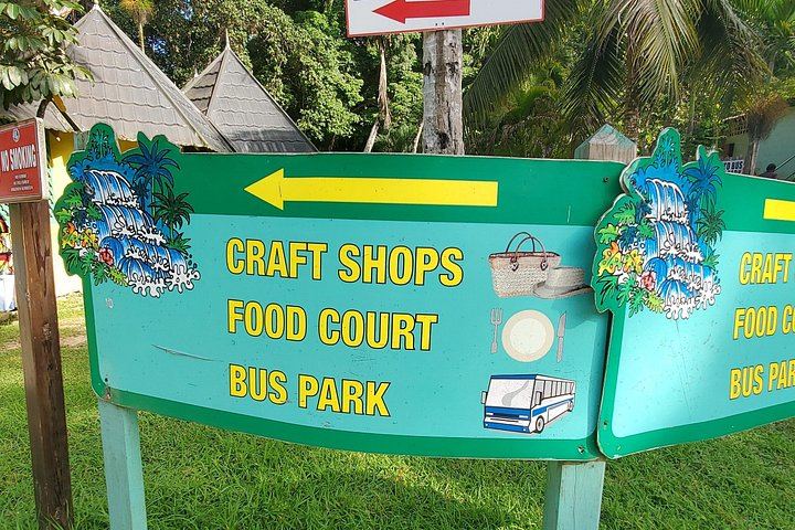 Guided Dunn's River Falls Tour with Lunch, Skip-the-Line Entry and Craft Shopping (5/10)