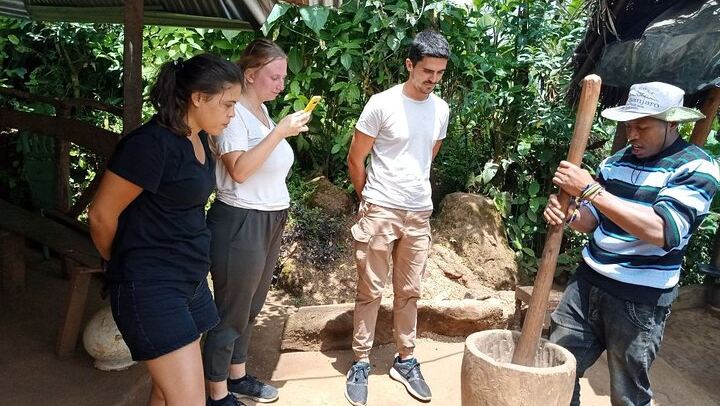 Twelve-Hour Materuni Waterfalls Hike and Coffee Making Day Tour from Moshi (3/3)