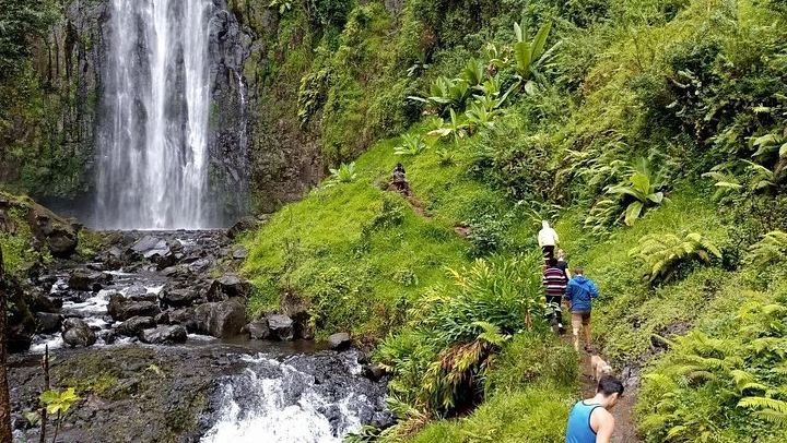 Twelve-Hour Materuni Waterfalls Hike and Coffee Making Day Tour from Moshi (2/3)