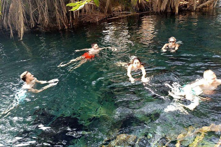 Twelve-Hour Materuni Waterfalls Hike and Coffee Making Day Tour from Moshi (1/3)