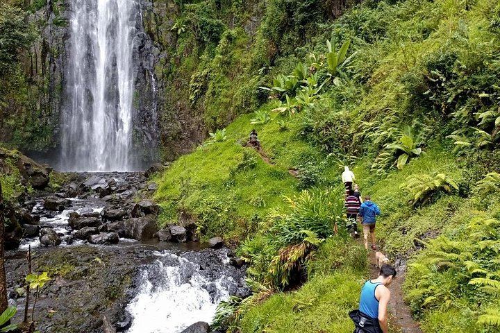 Twelve-Hour Materuni Waterfalls Hike and Coffee Making Day Tour from Moshi (2/3)