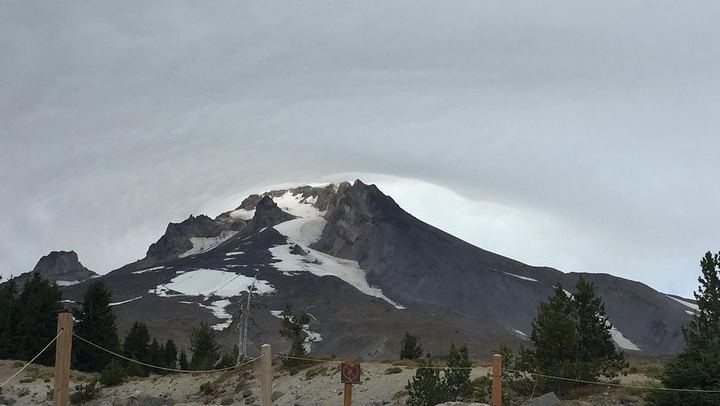Mt. Hood and Gorge Waterfalls Day Tour with Two Vineyards, Lunch and Wine (3/12)