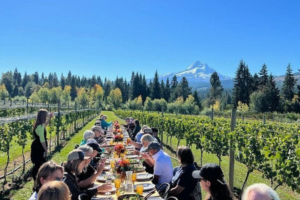 Mt. Hood and Gorge Waterfalls Day Tour with Two Vineyards, Lunch and Wine