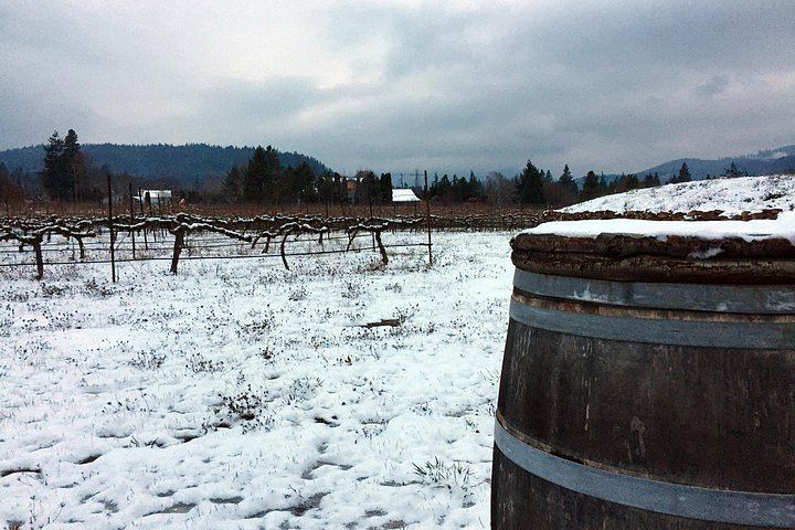 Mt. Hood and Gorge Waterfalls Day Tour with Two Vineyards, Lunch and Wine (11/12)