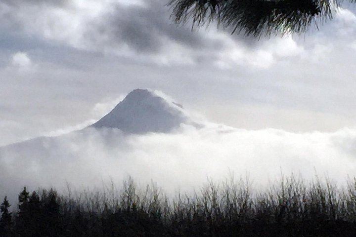 Mt. Hood and Gorge Waterfalls Day Tour with Two Vineyards, Lunch and Wine (9/12)
