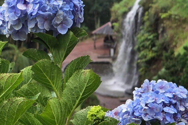 Full-Day Nordeste Waterfalls and Lighthouse Tour with Lunch, Sao Miguel (10/12)