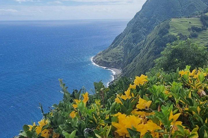 Full-Day Nordeste Waterfalls and Lighthouse Tour with Lunch, Sao Miguel (9/12)