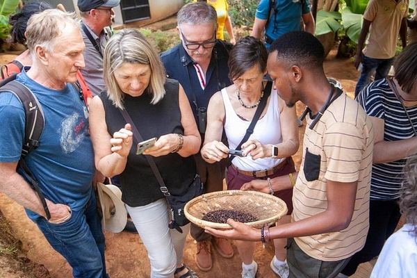 Seven-Hour Private Materuni Waterfalls and Chagga Coffee Tour from Central Moshi