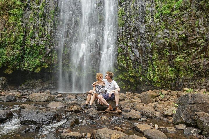 Seven-Hour Private Materuni Waterfalls and Chagga Coffee Tour from Central Moshi (1/2)
