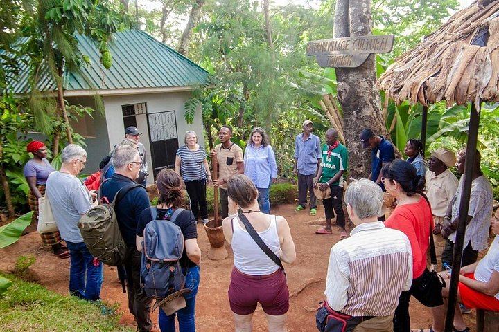 Seven-Hour Private Materuni Waterfalls and Chagga Coffee Tour from Central Moshi (2/2)