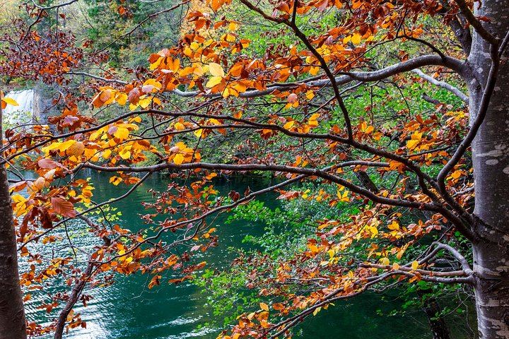 Full-Day Private Plitvice Lakes Tour from Split to Veliki Slap Waterfall (7/7)