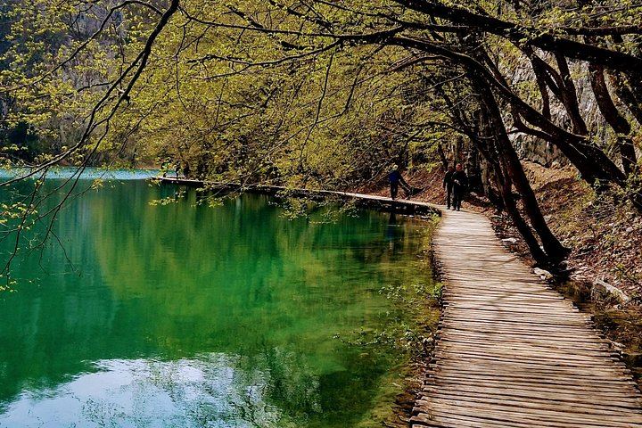 Plitvice Lakes Private Full-Day Tour from Zadar Hotel or Cruise Port with Lunch (4/7)