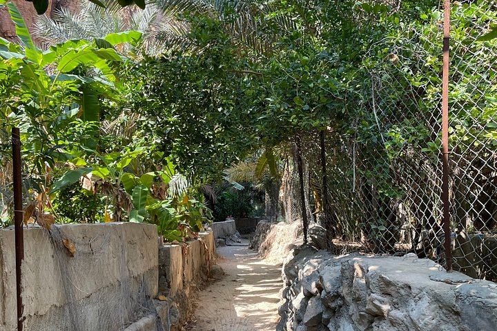 Private 8:00 to 17:00 Wadi Shab and Bimmah Sinkhole Day with Lunch, Up to 11 (10/12)
